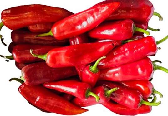 Long Red Pepper/Tatashe