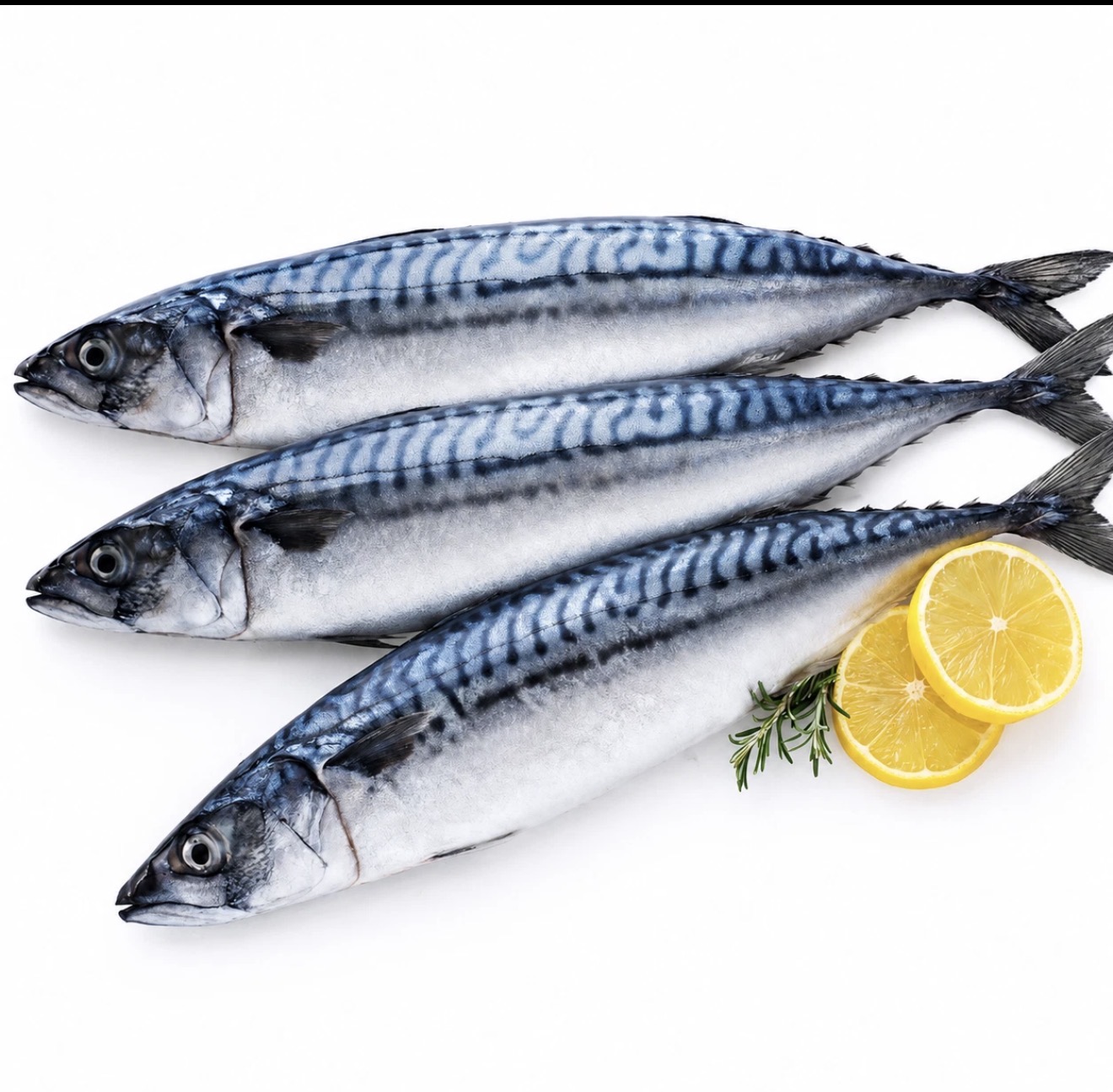 Mackerel / Titus fish