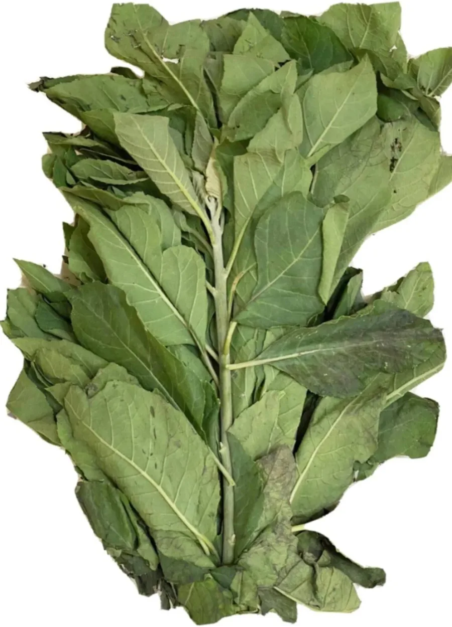Bitter Leaf
