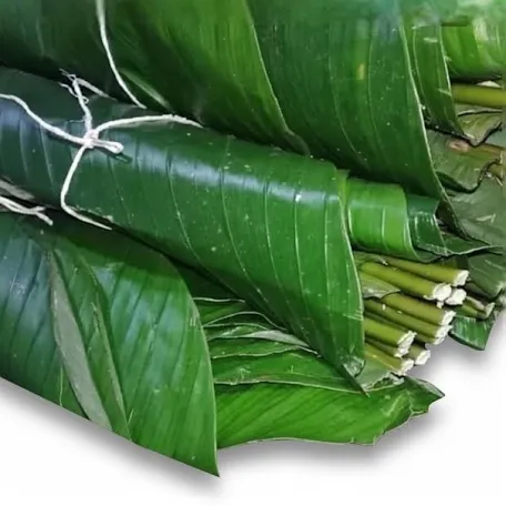Moimoi Leaf