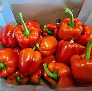 Red Bell Pepper