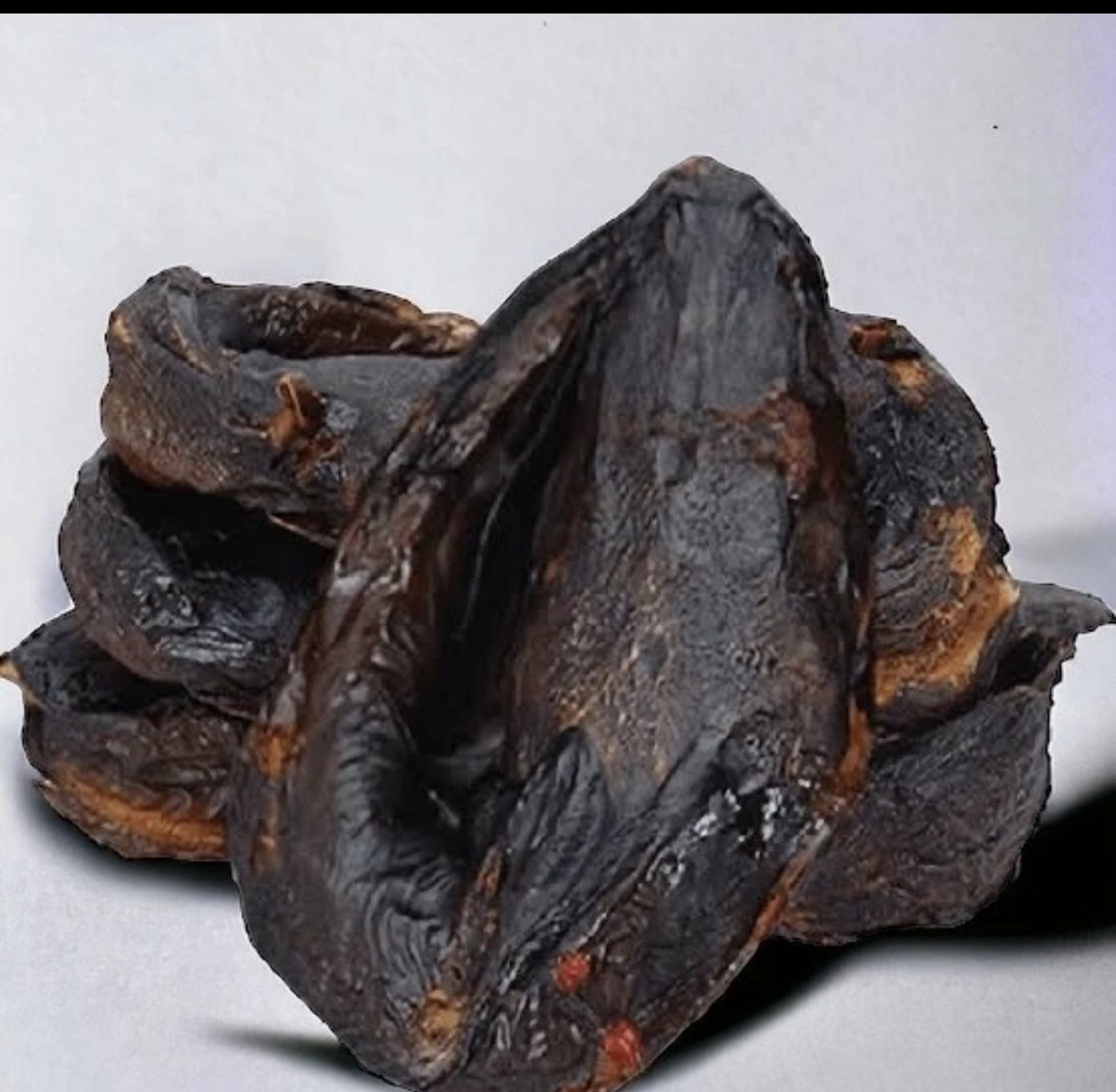 Smoked Dried cat fish