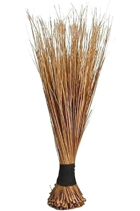AFRICAN BROOM