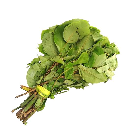 Oha Leaf