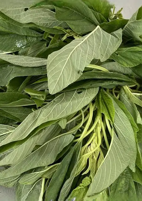 Tete Green Leaf