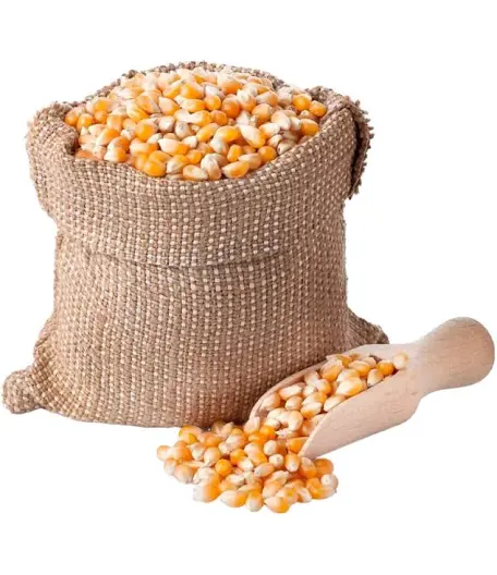 Yellow corn